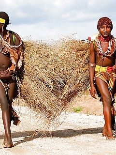 Wild Africa Crazy Ebony