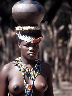 Wild Africa Ebony